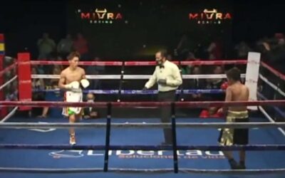 Miura Boxing